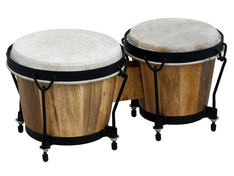 Bongo
